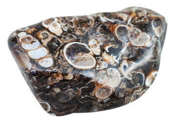 Similar image 11430321