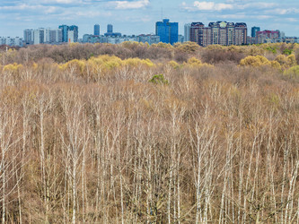 Similar image 11430369