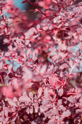 Similar image 11418174