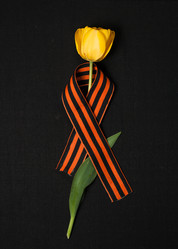 Similar image 11414713