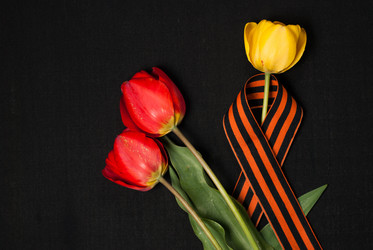 Similar image 11414715