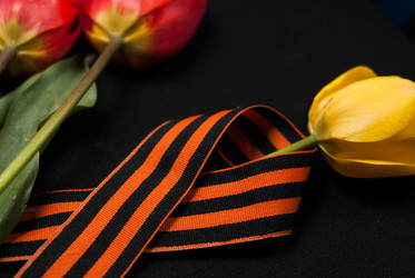 Similar image 11414716