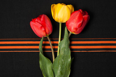 Similar image 11414726