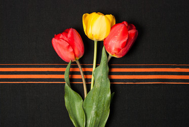 Similar image 11414727