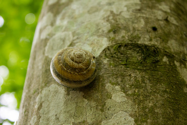 Similar image 11419261