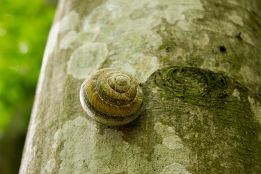 Similar image 11414502