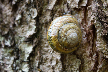 Similar image 11419262