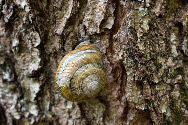 Similar image 11419939