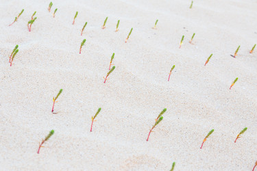 Similar image 11427382