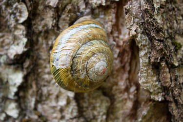 Similar image 11414503