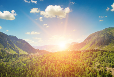 Similar image 11414454