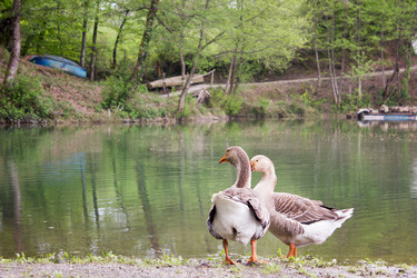 Similar image 11414504