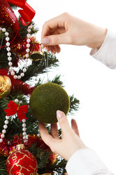 Similar image 11420805