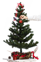 Similar image 11420707