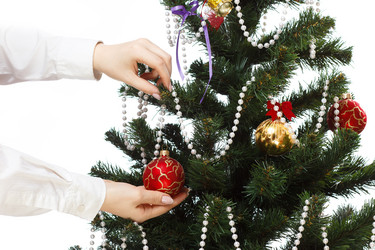 Similar image 11420823