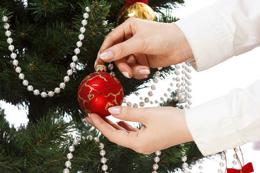 Similar image 11420840