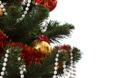 Similar image 11420843