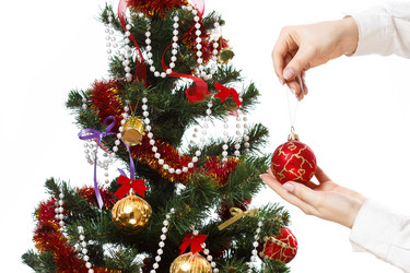 Similar image 11420844