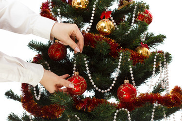 Similar image 11420846