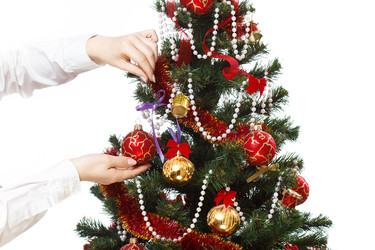 Similar image 11420863