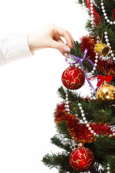 Similar image 11420864