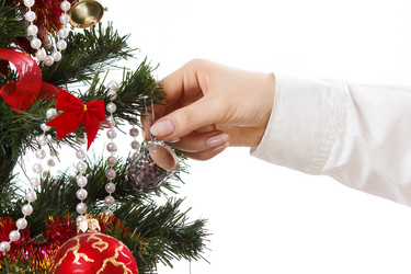 Similar image 11420867