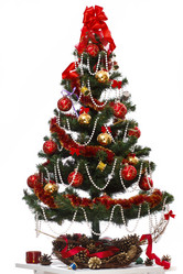 Similar image 11420882