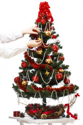 Similar image 11420884