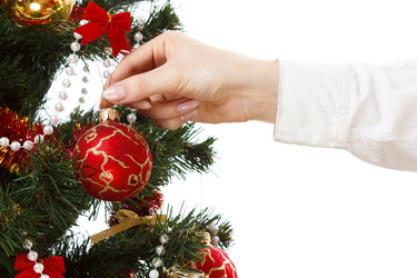 Similar image 11420991