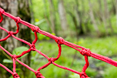 Similar image 11414505