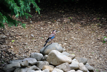 Similar image 11414570