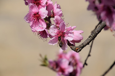 Similar image 11425053