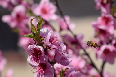 Similar image 11425054