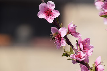 Similar image 11425072