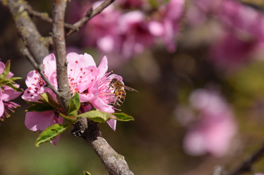 Similar image 11425073