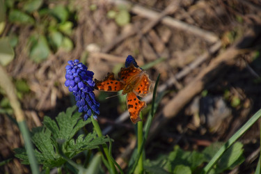 Similar image 11425055