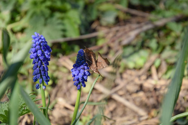 Similar image 11425056