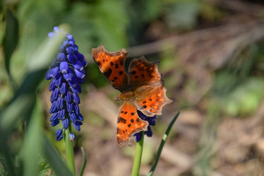 Similar image 11425057