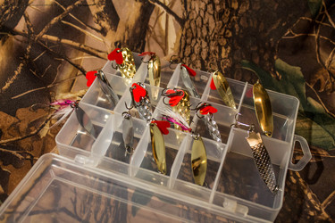 Similar image 11414433