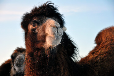 Similar image 11416108