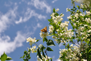 Similar image 11418097