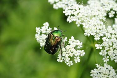 Similar image 11416122