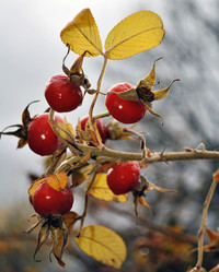 Similar image 11415803