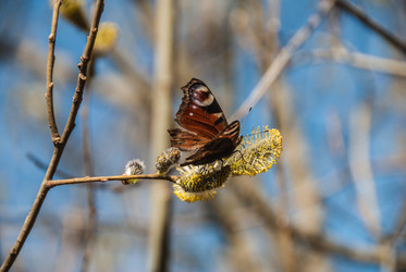 Similar image 11418098