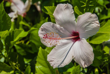 Similar image 11415808