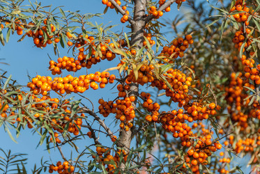 Similar image 11414559