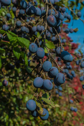 Similar image 11414560