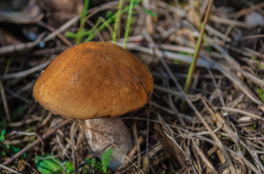 Similar image 11414561