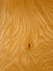 Similar image 11422754