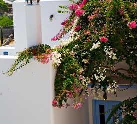 Similar image 11431541